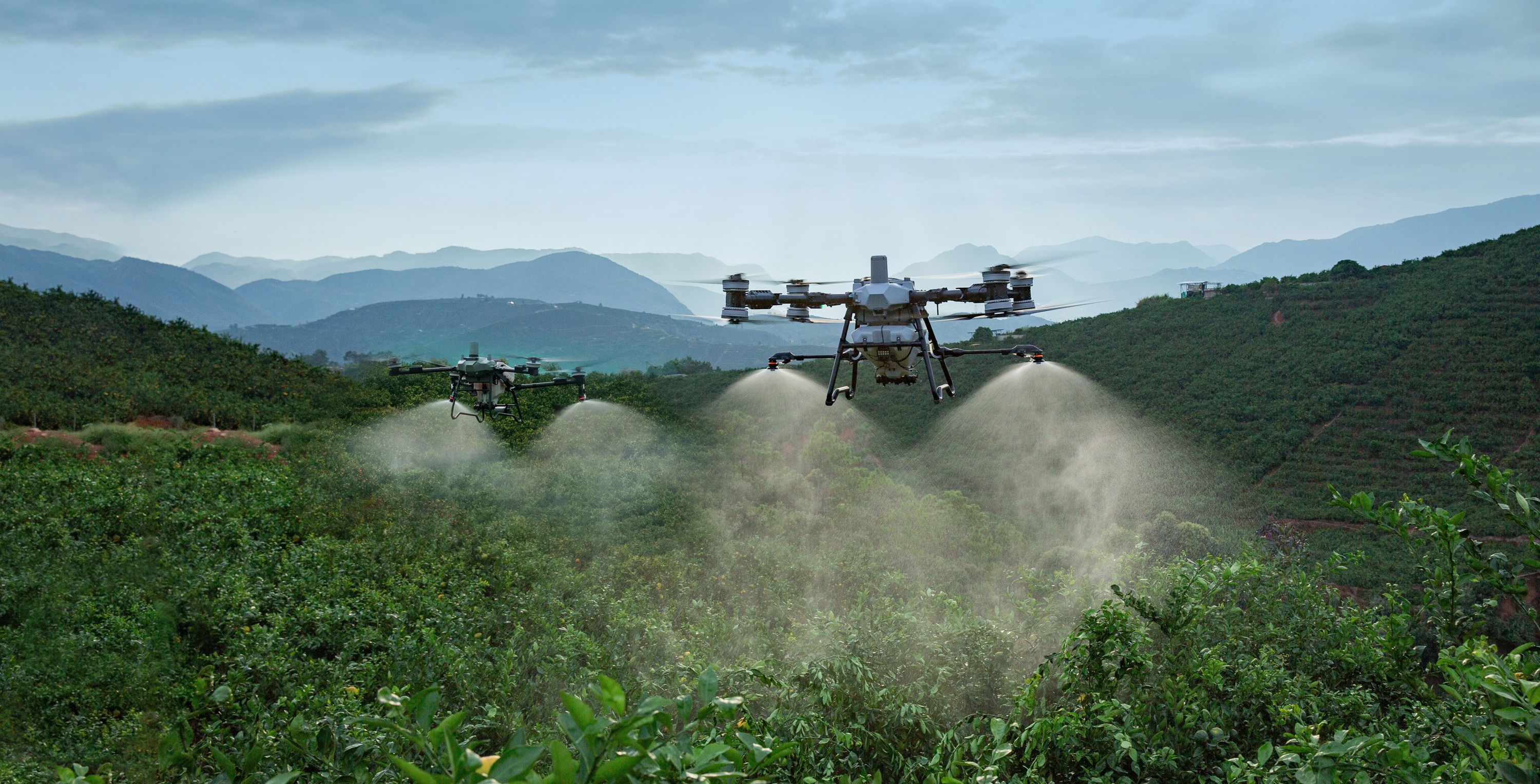 Dois drones agrícolas DJI em pulverização num pomar entre montanhas