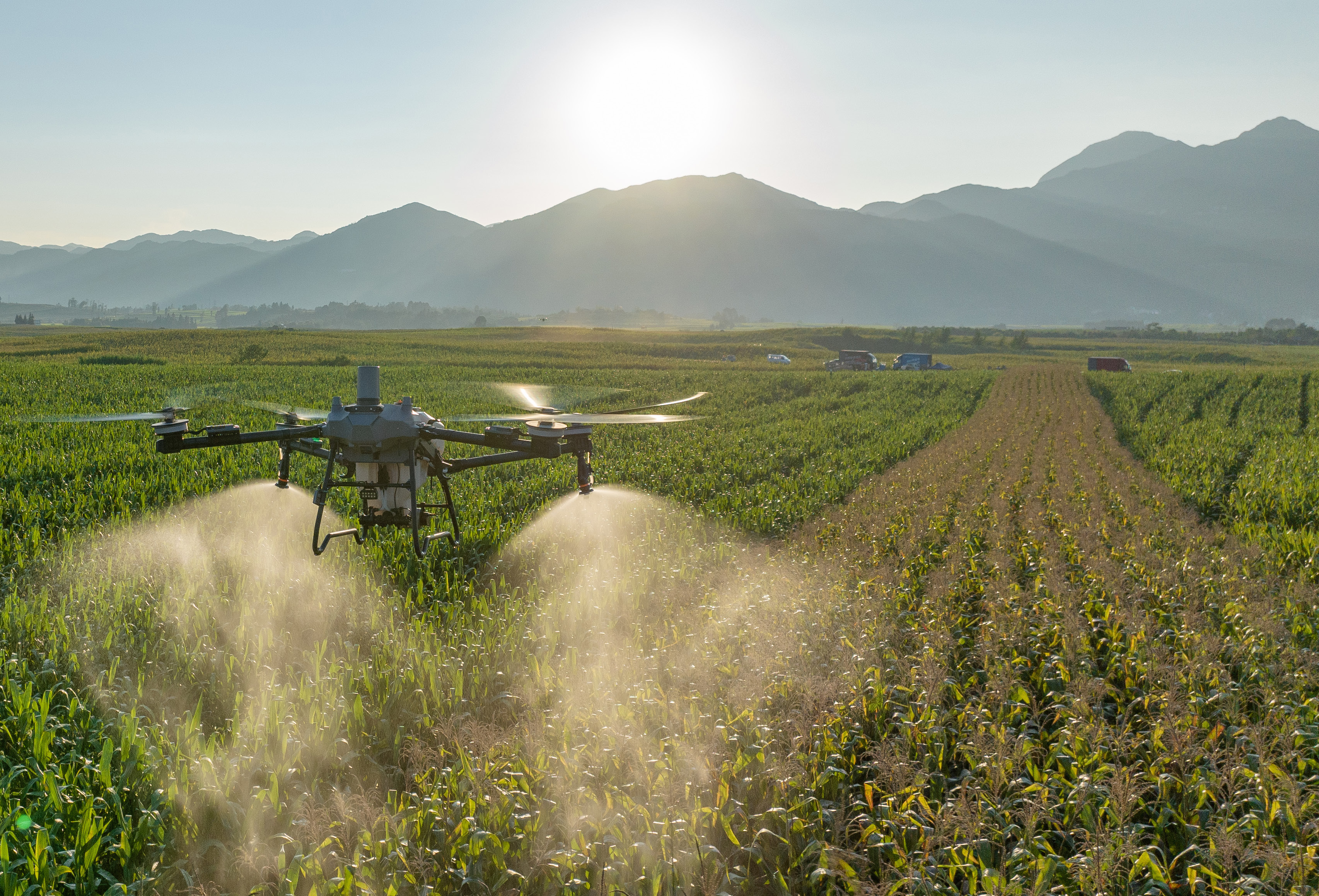 Drone agrícola a pulverizar uma cultura ao pôr do sol, com montanhas ao fundo