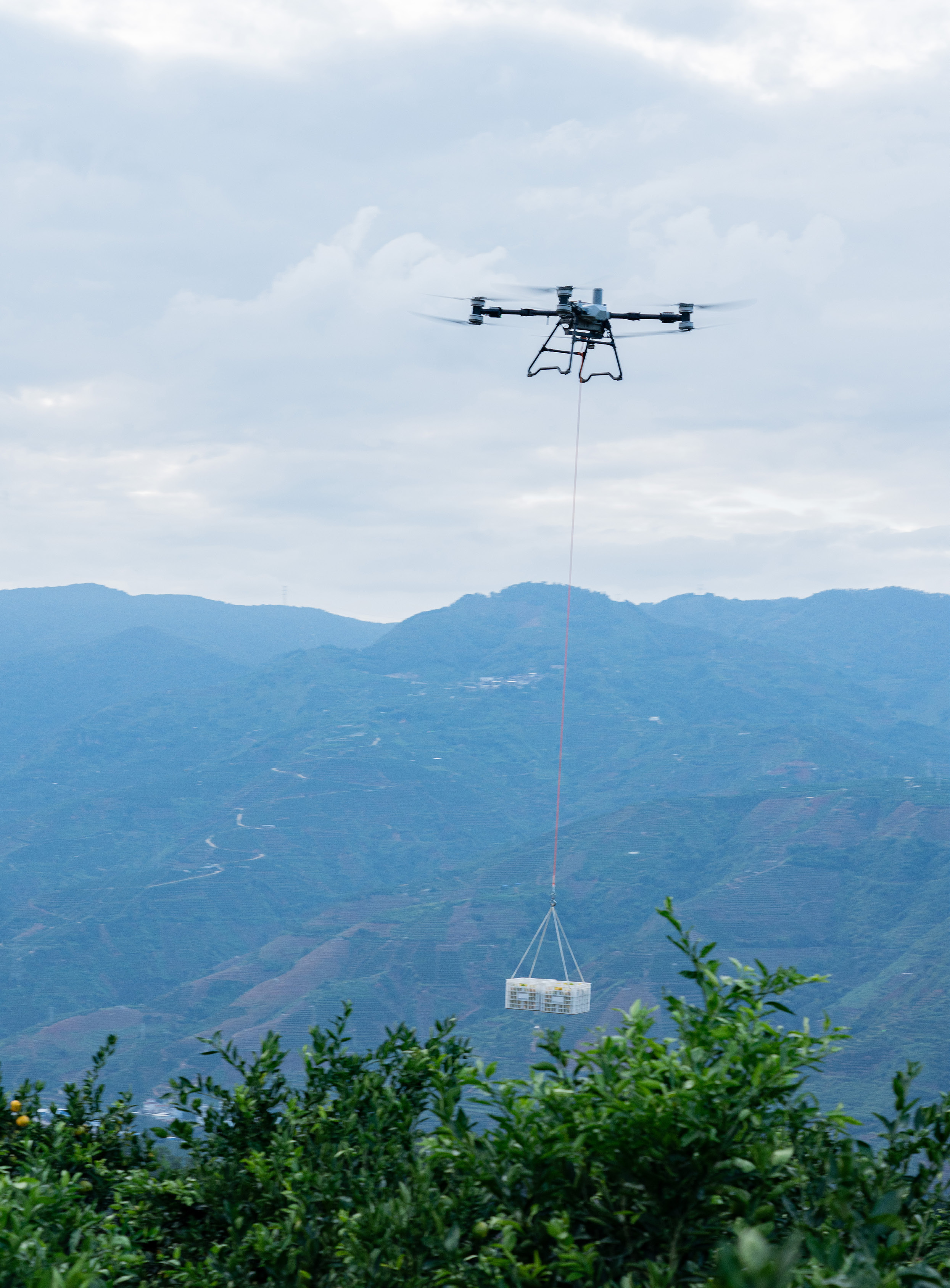 Drone agrícola em transporte de carga suspensa numa encosta, fotografia do relatório DJI Agriculture